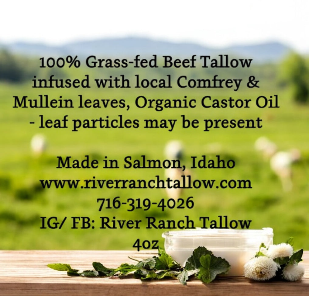 Mullein & Comfrey Tallow Balm - 4oz Jar