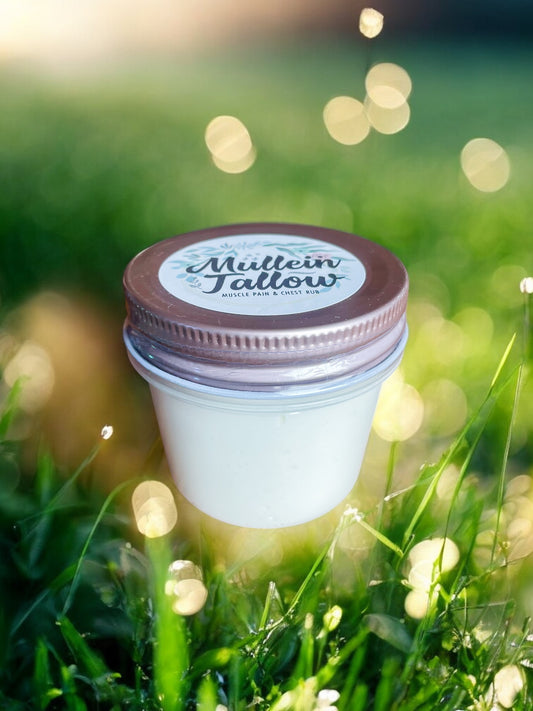 Mullein-infused Tallow Lotion - 4oz. Jar